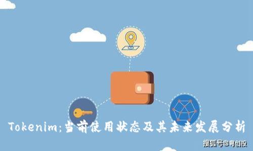 Tokenim：当前使用状态及其未来发展分析